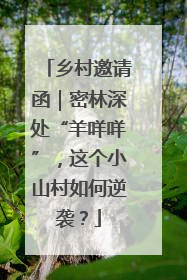 乡村邀请函｜密林深处“羊咩咩”，这个小山村如何逆袭？