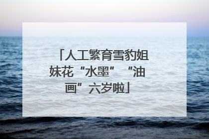 人工繁育雪豹姐妹花“水墨”“油画”六岁啦