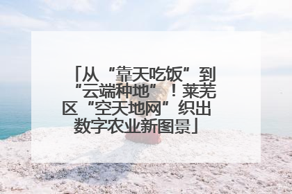 从“靠天吃饭”到“云端种地”！莱芜区“空天地网”织出数字农业新图景