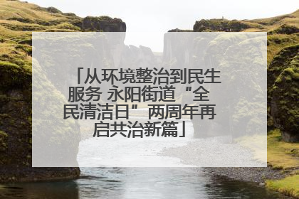从环境整治到民生服务 永阳街道“全民清洁日”两周年再启共治新篇