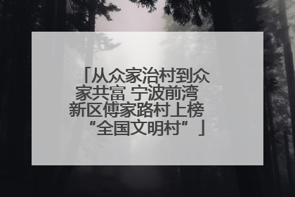 从众家治村到众家共富 宁波前湾新区傅家路村上榜“全国文明村”