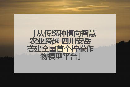 从传统种植向智慧农业跨越 四川安岳搭建全国首个柠檬作物模型平台
