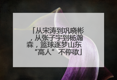 从宋涛到巩晓彬，从张子宇到杨瀚森，篮球逐梦山东“高人”不停歇