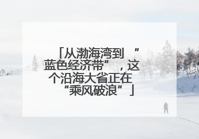 从渤海湾到 “蓝色经济带”，这个沿海大省正在 “乘风破浪”