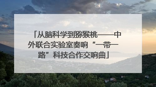 从脑科学到猕猴桃——中外联合实验室奏响“一带一路”科技合作交响曲