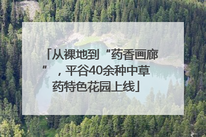 从裸地到“药香画廊”，平谷40余种中草药特色花园上线