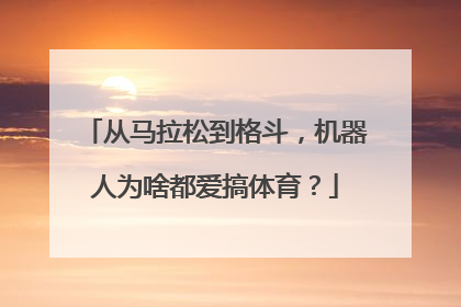 从马拉松到格斗，机器人为啥都爱搞体育？