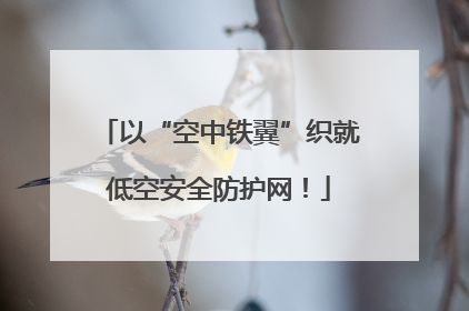 以“空中铁翼”织就低空安全防护网！
