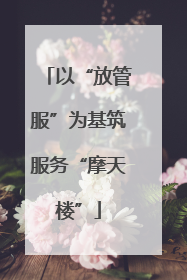 以“放管服”为基筑服务“摩天楼”
