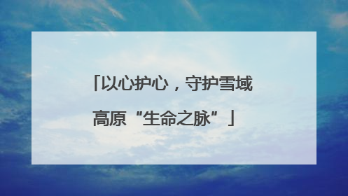 以心护心，守护雪域高原“生命之脉”