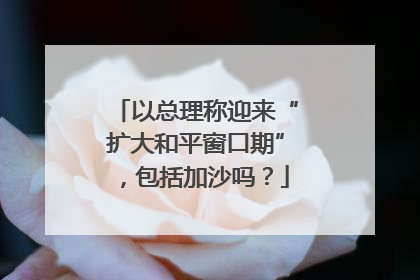 以总理称迎来“扩大和平窗口期”，包括加沙吗？