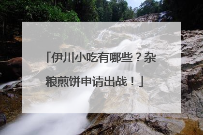 伊川小吃有哪些？杂粮煎饼申请出战！