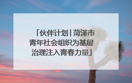 伙伴计划│菏泽市青年社会组织为基层治理注入青春力量