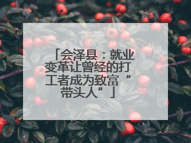 会泽县：就业变革让曾经的打工者成为致富“带头人”