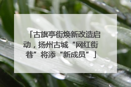 古旗亭街焕新改造启动，扬州古城“网红街巷”将添“新成员”