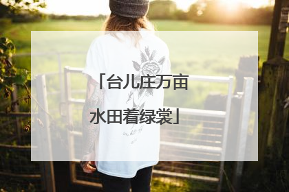 台儿庄万亩水田着绿裳