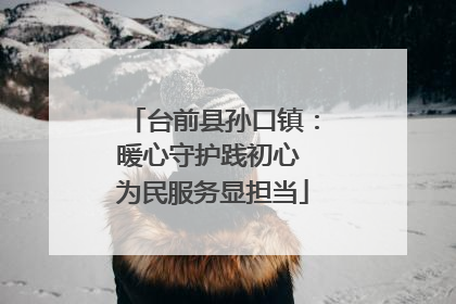 台前县孙口镇：暖心守护践初心 为民服务显担当