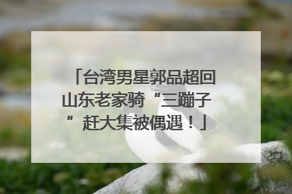 台湾男星郭品超回山东老家骑“三蹦子”赶大集被偶遇！