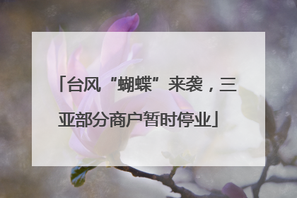 台风“蝴蝶”来袭，三亚部分商户暂时停业