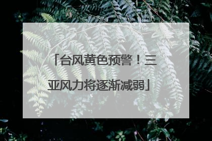 台风黄色预警！三亚风力将逐渐减弱