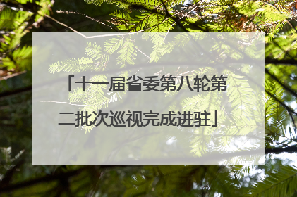 十一届省委第八轮第二批次巡视完成进驻