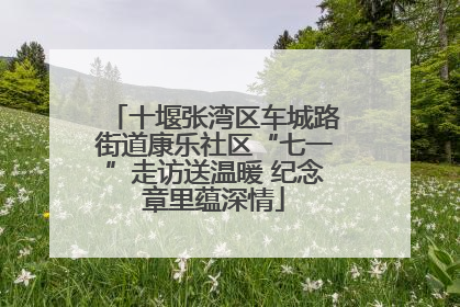 十堰张湾区车城路街道康乐社区“七一”走访送温暖 纪念章里蕴深情