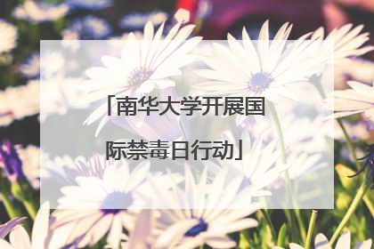 南华大学开展国际禁毒日行动