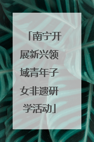 南宁开展新兴领域青年子女非遗研学活动