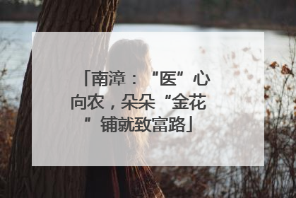 南漳：“医”心向农，朵朵“金花”铺就致富路