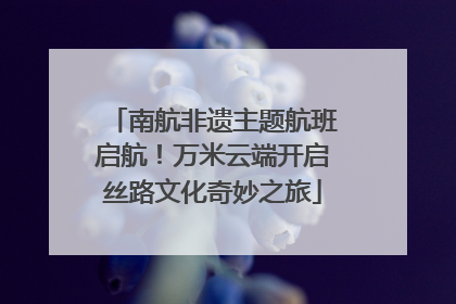 南航非遗主题航班启航！万米云端开启丝路文化奇妙之旅
