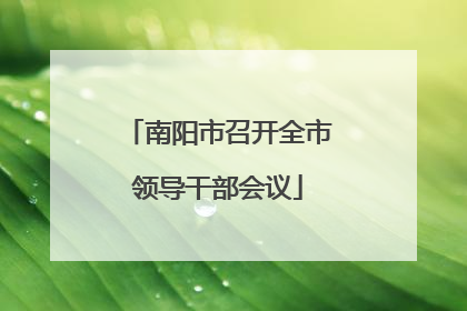 南阳市召开全市领导干部会议