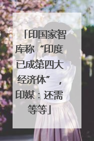 印国家智库称“印度已成第四大经济体”，印媒：还需等等