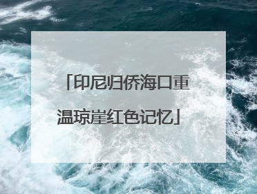 印尼归侨海口重温琼崖红色记忆