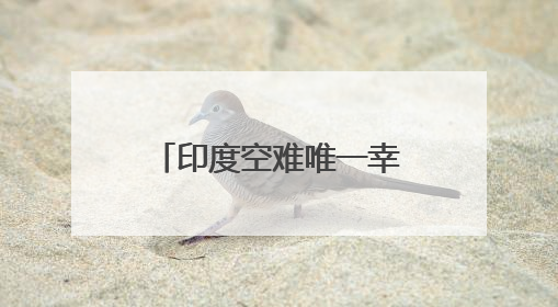 印度空难唯一幸存者：座位紧邻舱门 坠机后立刻拨通父亲电话
