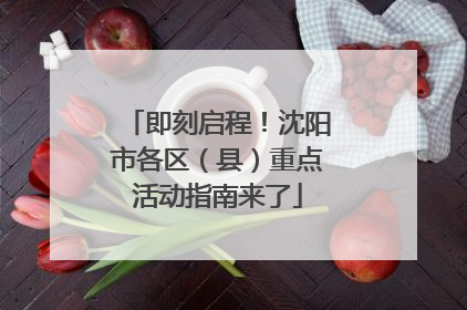 即刻启程！沈阳市各区（县）重点活动指南来了
