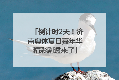 倒计时2天！济南奥体夏日嘉年华精彩剧透来了