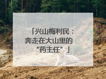 兴山梅利民：奔走在大山里的“药主任”