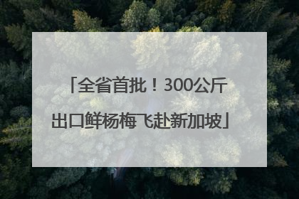 全省首批！300公斤出口鲜杨梅飞赴新加坡