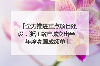 全力推进重点项目建设，浙江路产城交出半年度亮眼成绩单