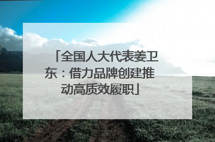 全国人大代表姜卫东：借力品牌创建推动高质效履职