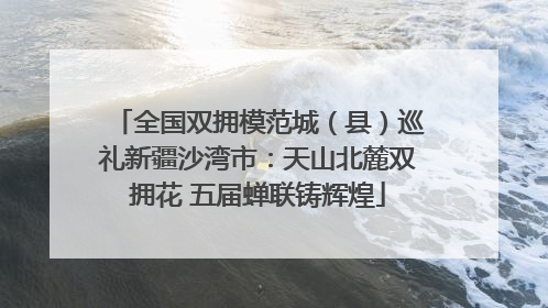 全国双拥模范城（县）巡礼新疆沙湾市：天山北麓双拥花 五届蝉联铸辉煌