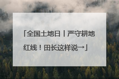 全国土地日丨严守耕地红线！田长这样说→