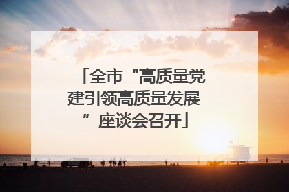 全市“高质量党建引领高质量发展”座谈会召开