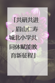 共研共进，眉山仁寿城北小学共同体赋能教育新征程