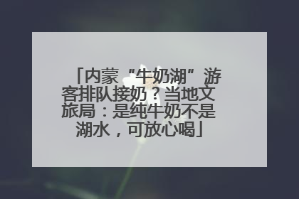内蒙“牛奶湖”游客排队接奶？当地文旅局：是纯牛奶不是湖水，可放心喝