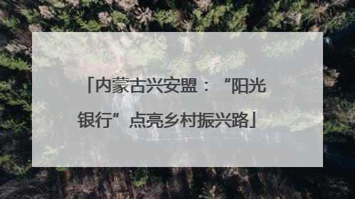内蒙古兴安盟：“阳光银行”点亮乡村振兴路