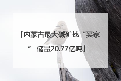 内蒙古最大碱矿找“买家” 储量20.77亿吨
