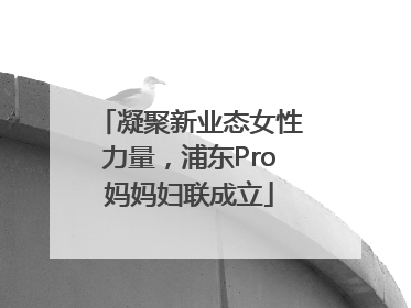 凝聚新业态女性力量，浦东Pro妈妈妇联成立