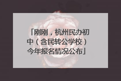 刚刚，杭州民办初中（含民转公学校）今年报名情况公布
