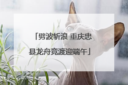 劈波斩浪 重庆忠县龙舟竞渡迎端午